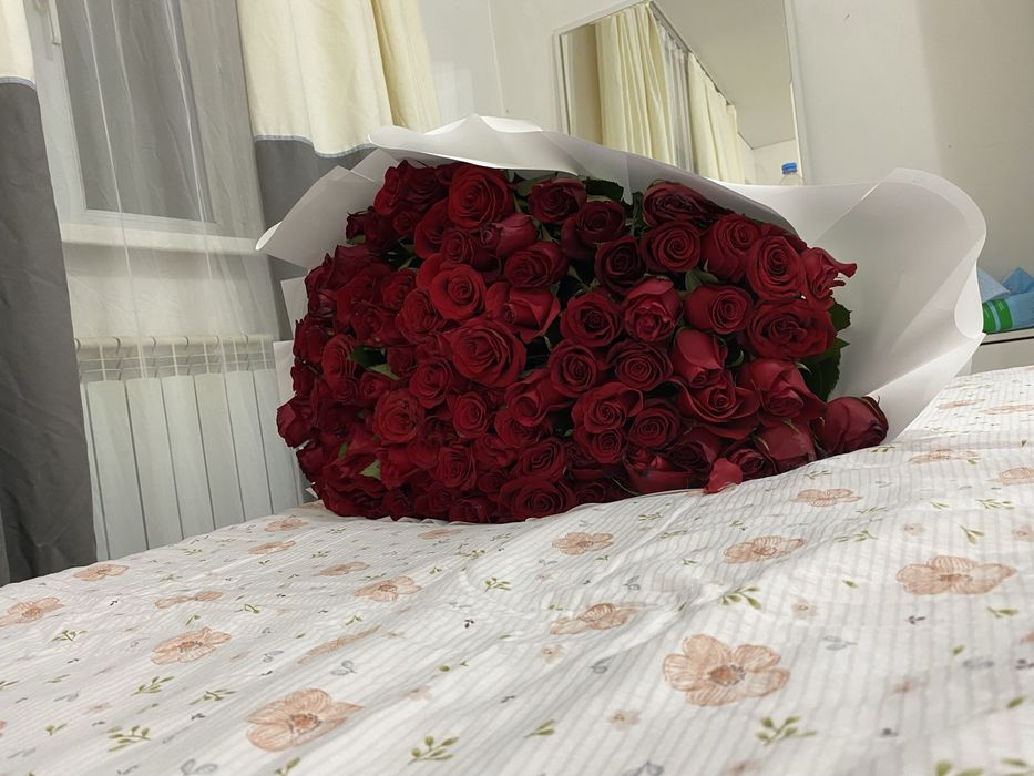 101 метровые красные розы