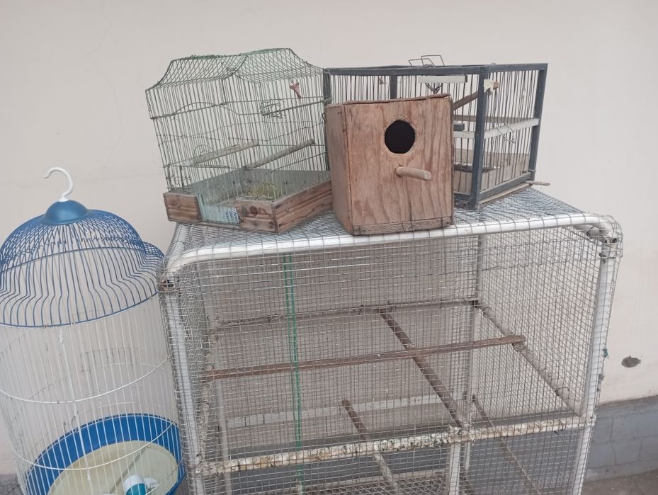 Продается Валер для птиц