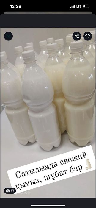 Балғын Шұбат, қымыз