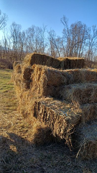 Vând 220 de baloți de fân