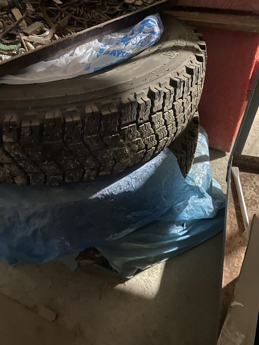 Нивага донгелек бар