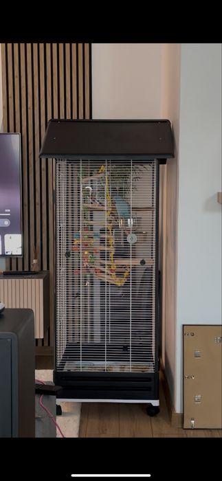 Vânzare Micul Alexandru