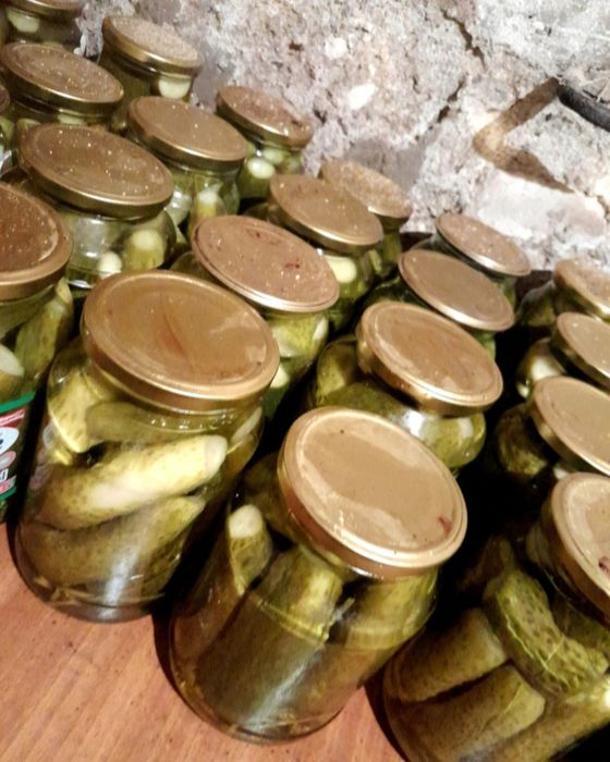 Соленья этого года