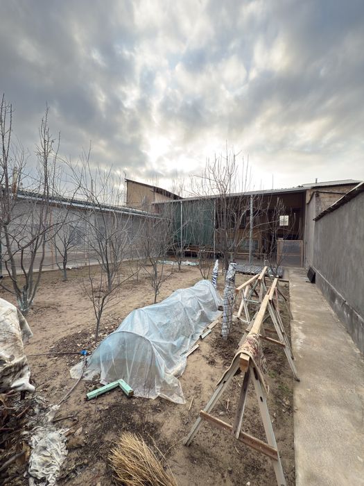 Назарбек харакатда  котта учаска сотилади