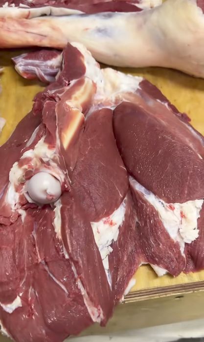 Qoy Қўй · Қўчқор · Кўчкор — Жойида Сўйиб Берамиз

Самарқанд то