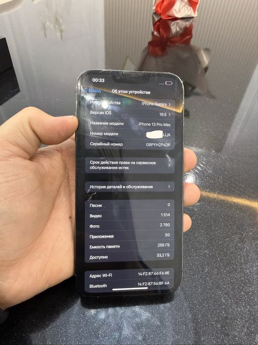 Iphone 13 pro max sim