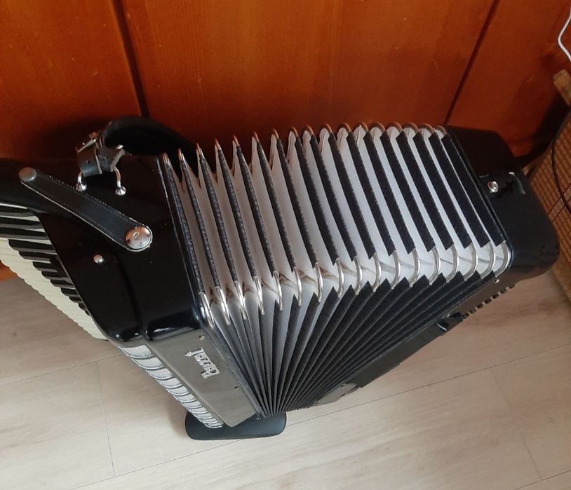 Parrot 120 bass(Hohner,Weltmeister)