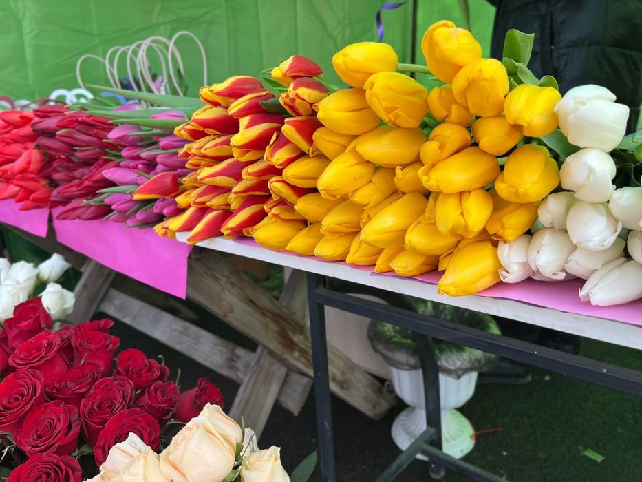 Тюльпаны 8 марта