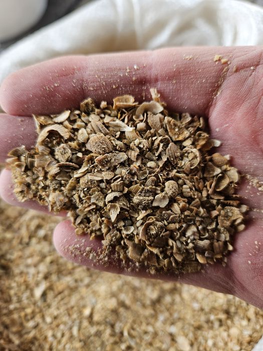 ракушка кормовая