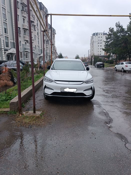 Byd song plus flagship 505 tali kraska toza