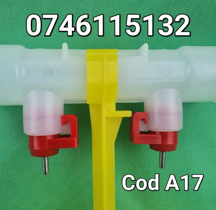 Gaini pui pasari curci fazani fazani  -Adapatori duble Cu tavita - A17