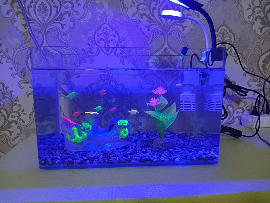 Xitoy quyma akvarium 15 litr komplekti