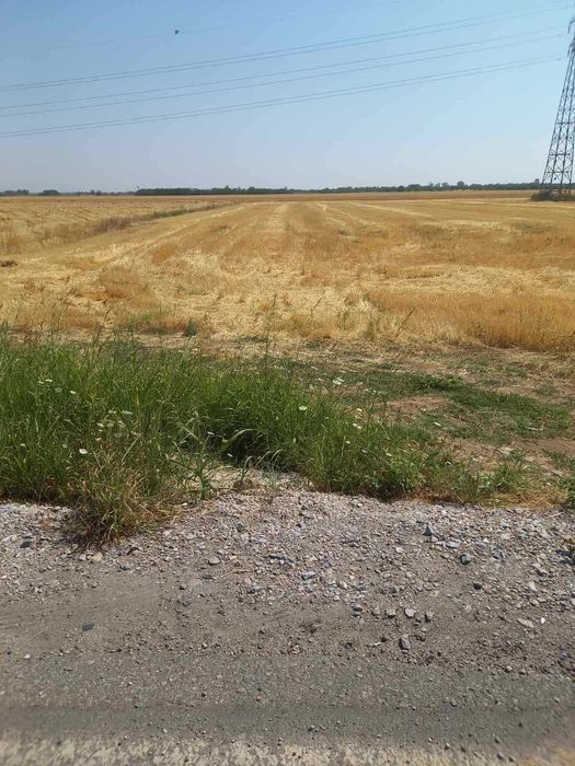 Дава се под наем Парцел в Пловдив, Индустриална зона - Тракия - 5341 кв.м за 51 € - Снимка #4