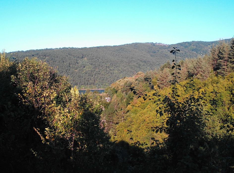 Продавам малка вила