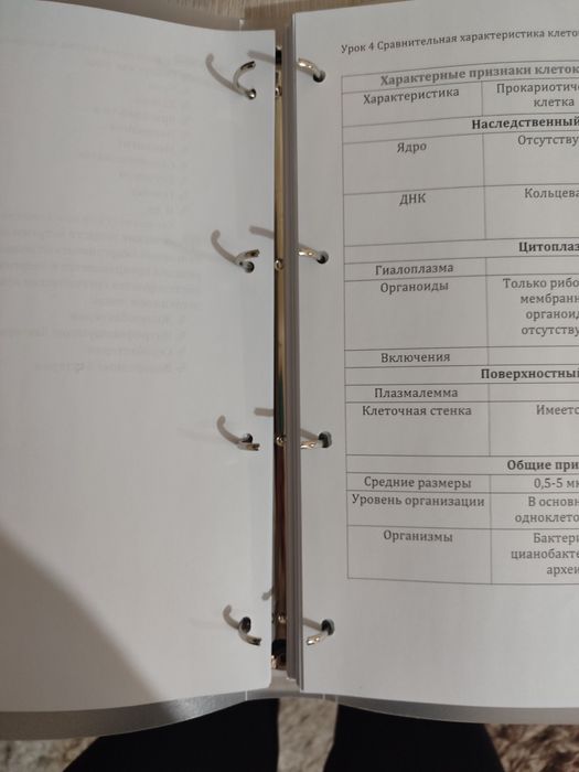 Файл, блокнот и тд. Множество назначений