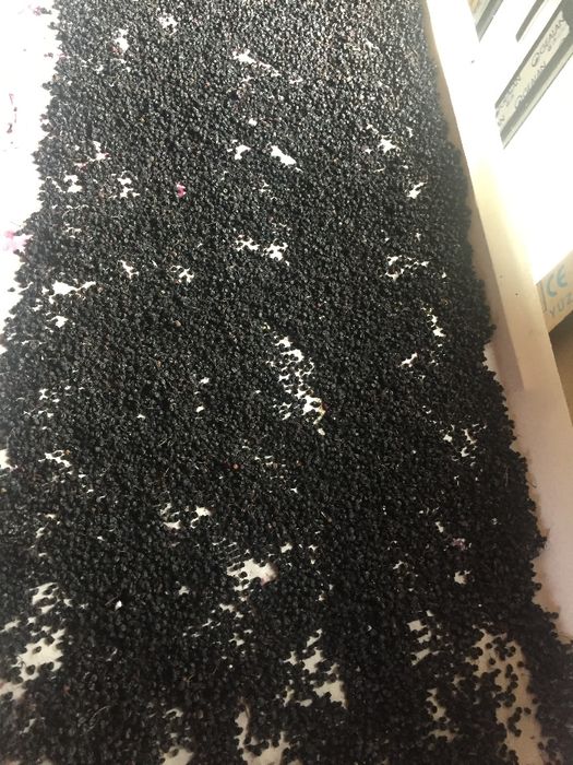 Fructe de soc Bio Uscate