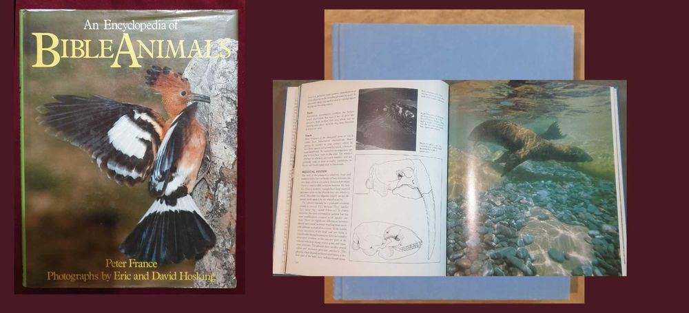 22 енциклопедии и справочници за животни