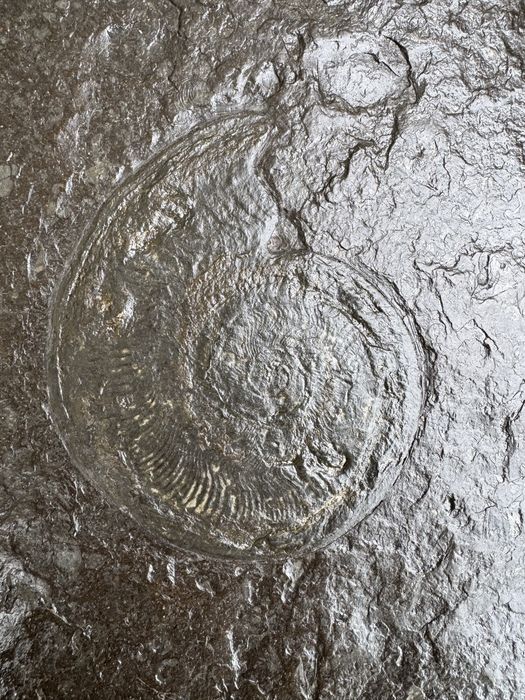 Masa din piatra naturala pentru living + ceas de perete