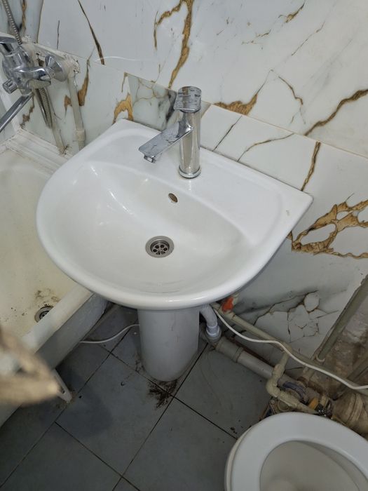 Раковина тюльпан