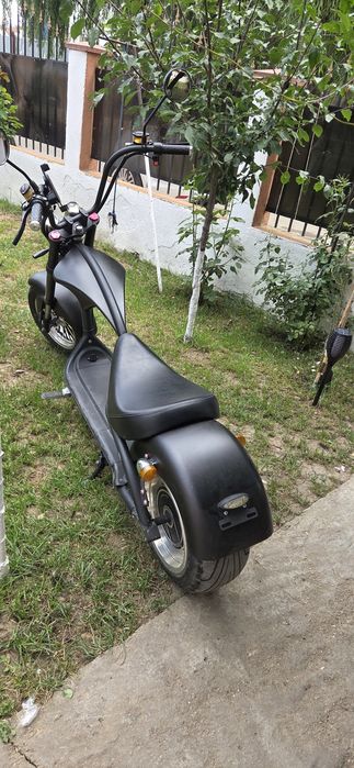 Scuter Electric Chopper Mangosteam