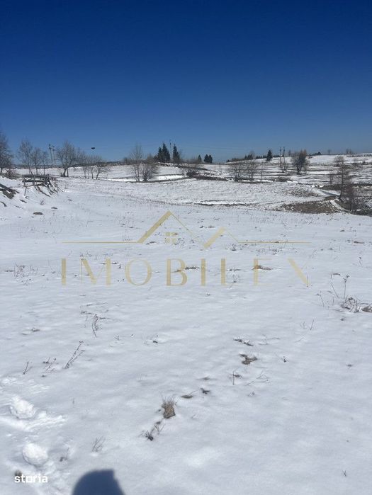 Teren in Marisel 5000 mp