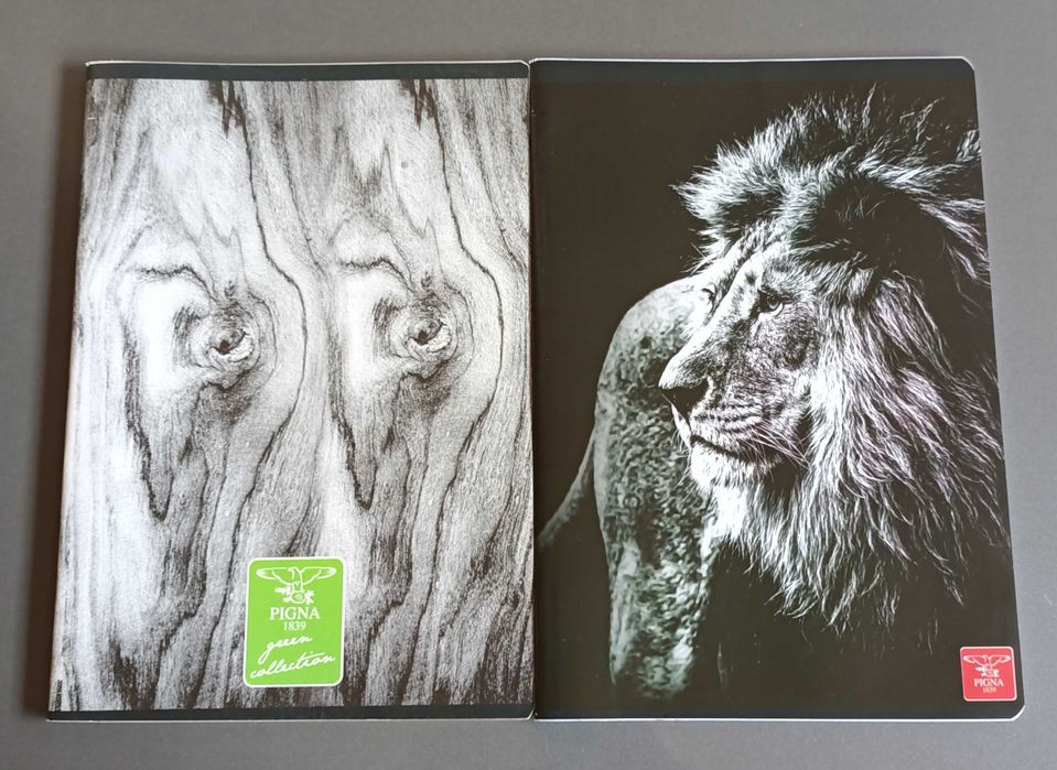 Ghiozdan, rucsac, caiete