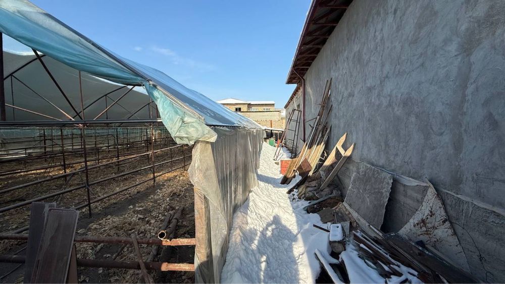 Yangi O’zbekiston, Mirzo Ulug’bek tum, Alisher obod mahallada yer