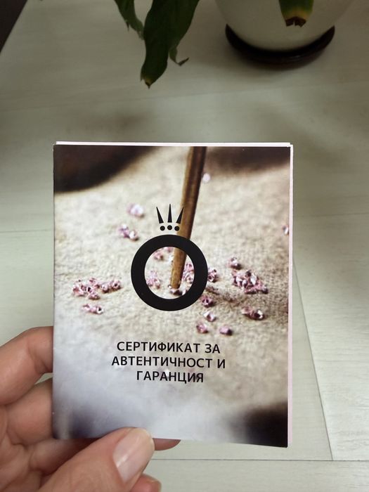 Сребърни обеци Pandora