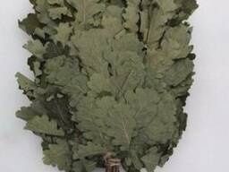 Веники берёза дуб пихта ТОЛЬКО ОПТОП !!!