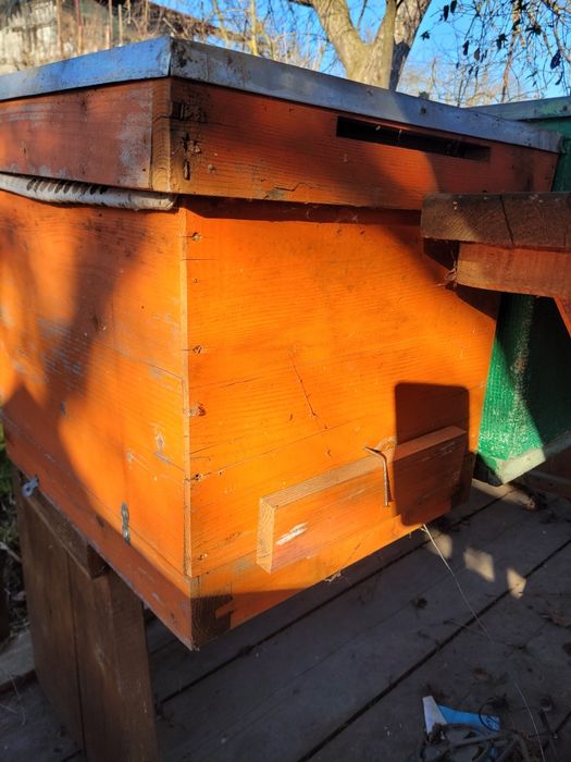 Stupi albine goi și cu rame