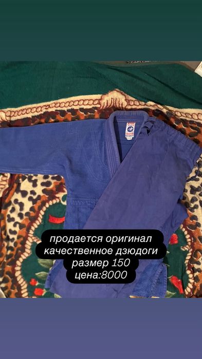 Дзюдоги от Чемпионов