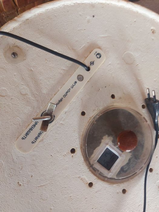 Инкубатор Иртыш.