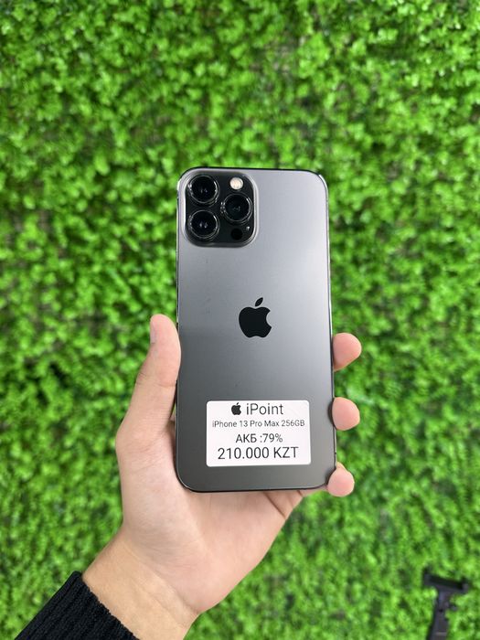 iPhone 13 Pro Max 256Gb 79%