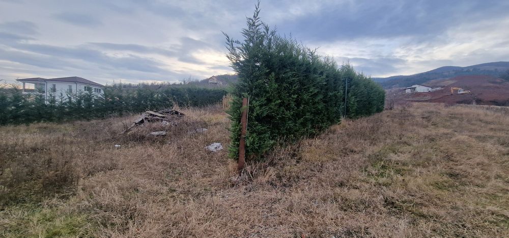 Vand teren intravilan 480 m2  Micesti Tarnita