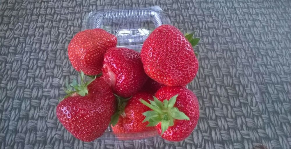 Stoloni Capsuni A+ Unifer/Remontant