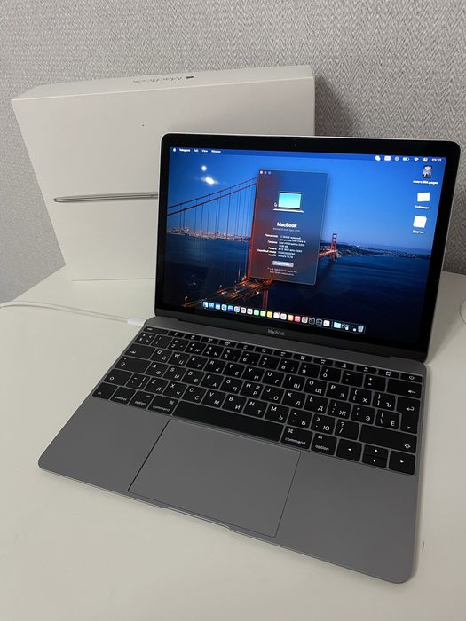 Macbook 12 (8/256)