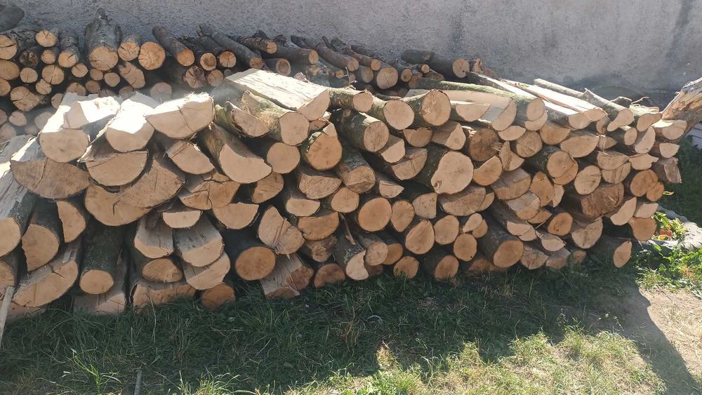 Vand lemn de Foc Fag esenta tare