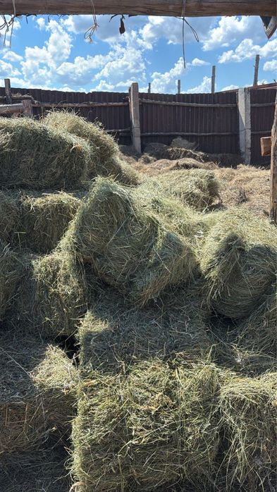 Продам сено тюкованное