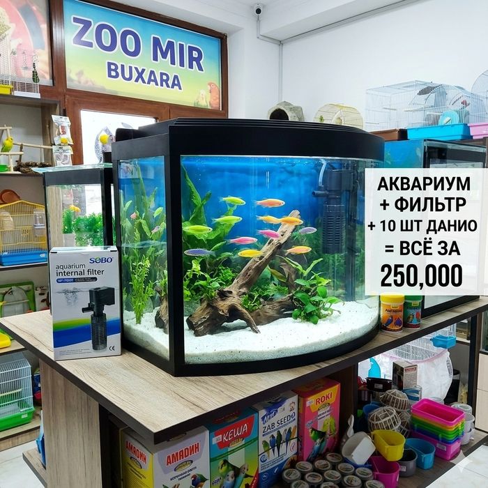 Аквариум фильтр 10 дона данио