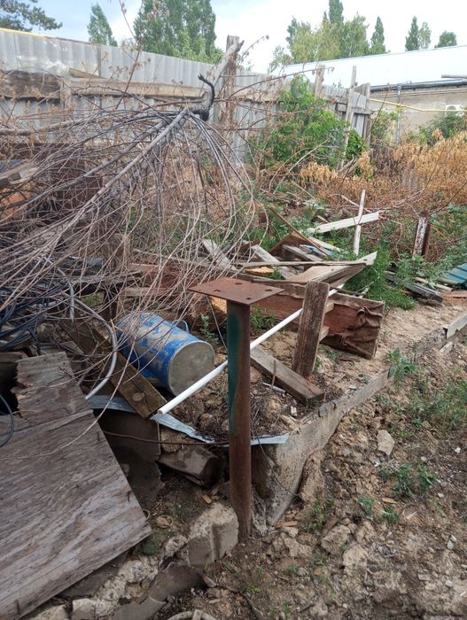 Отдам даром срочно