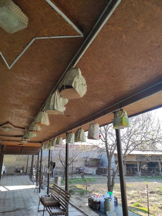 Поюшие перепёлка