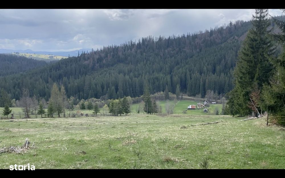 55.000 Mp În Inima Naturii Din Bucovina | Potențial Resort De Lux,