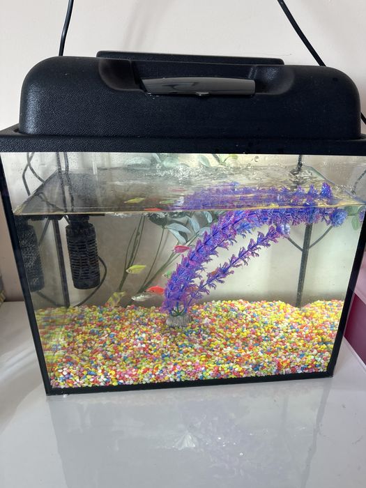 Аквариум продается