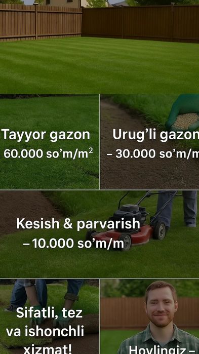 Urug'li va tayor gazon/ уругли ва таёр газон