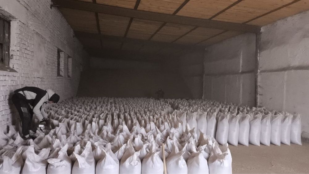 Овес сулу зерно корм