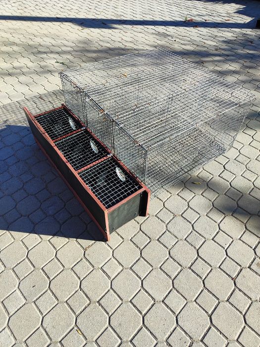 Клетки универсальные