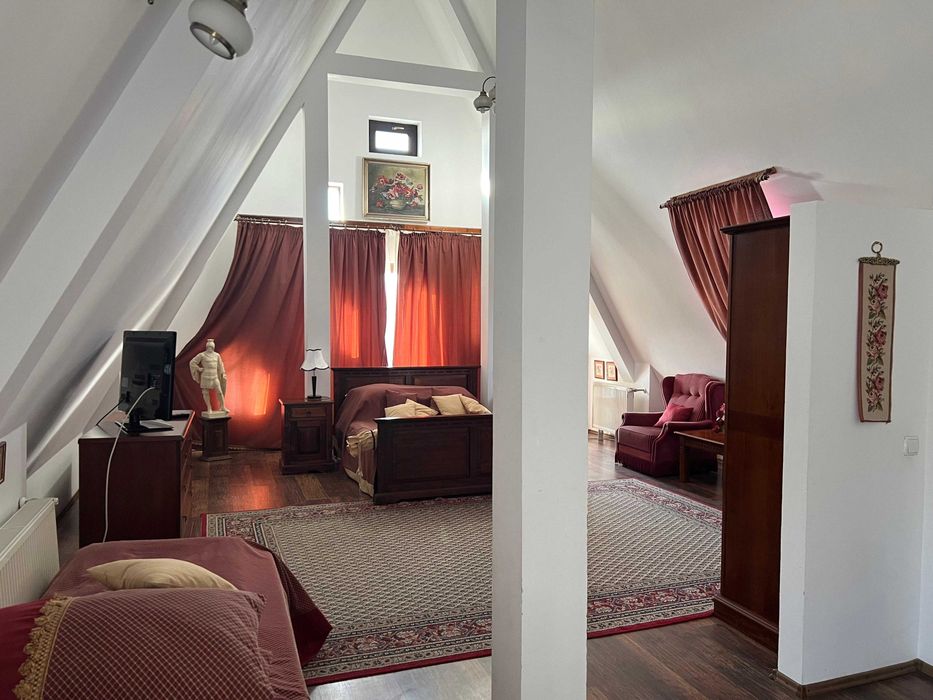 Pensiune agroturistica de vanzare in localitatea Horodnic de Sus -SV