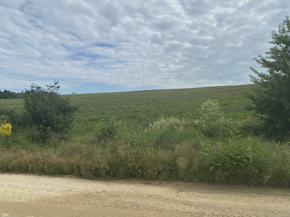 Продава се Земеделски имот в с. Старо Оряхово, Област Варна -  кв.м за 3549 €/дка - Снимка #9