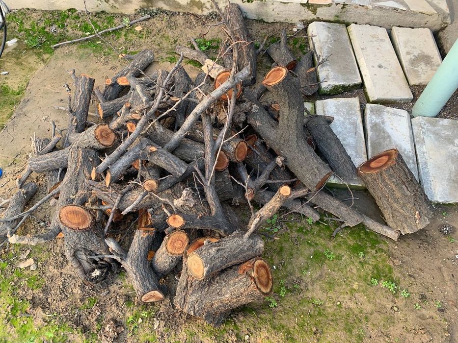 O'tin sotiladi o'rikniki