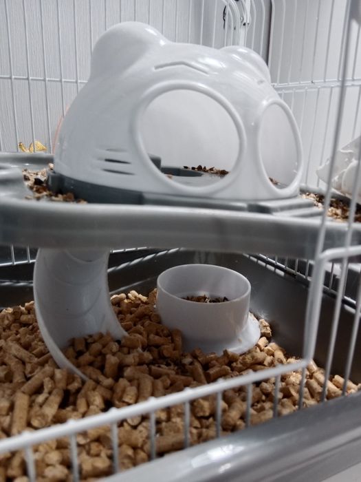 отдаю хомяка с клеткой